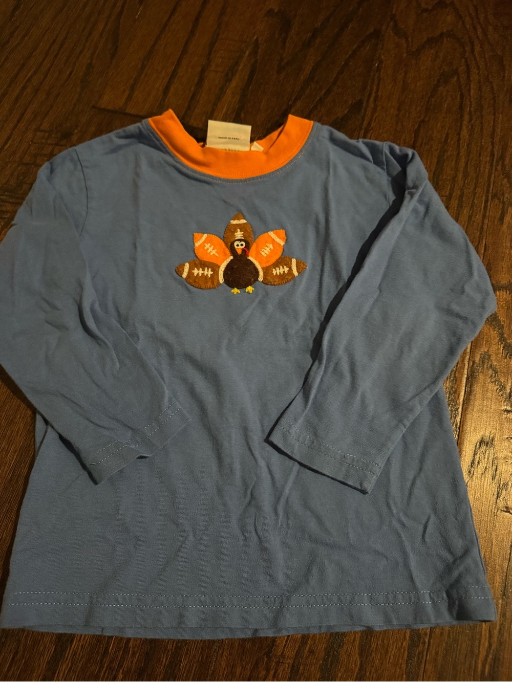 Toddler Blue Long-Sleeve Turkey Appliqué Shirt with Orange Trim
